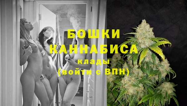 гидропоника Карталы