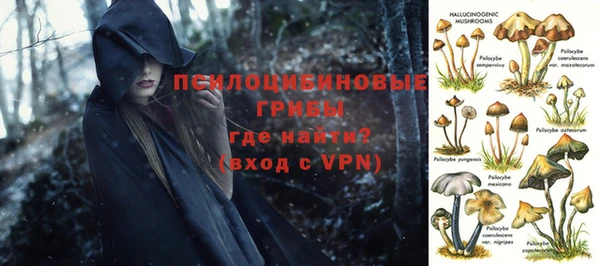 не бодяженный Каменск-Шахтинский